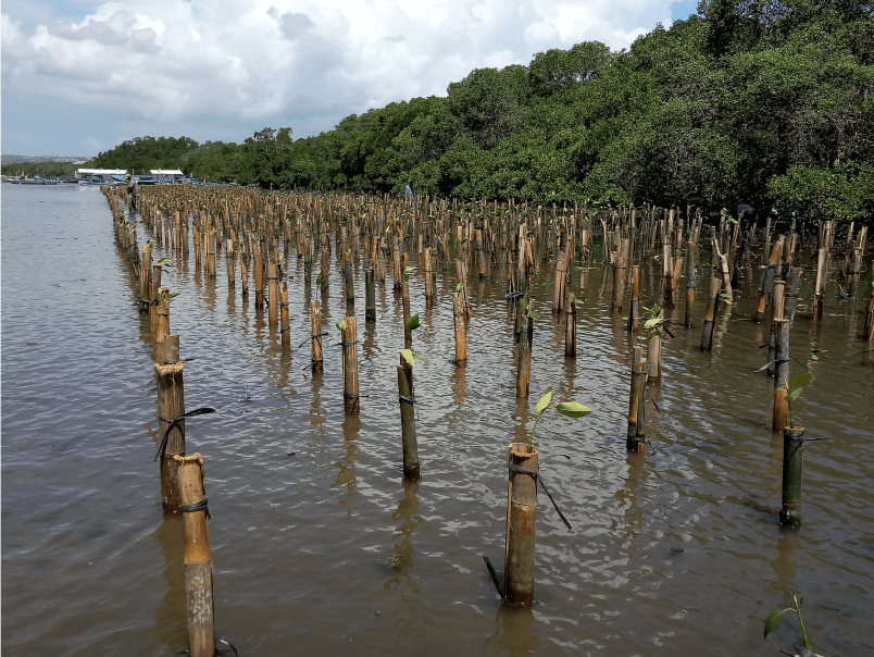 Bronjong Bambu