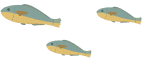 fishes