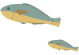 fishes