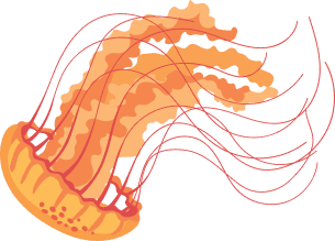 jellyfish-orange